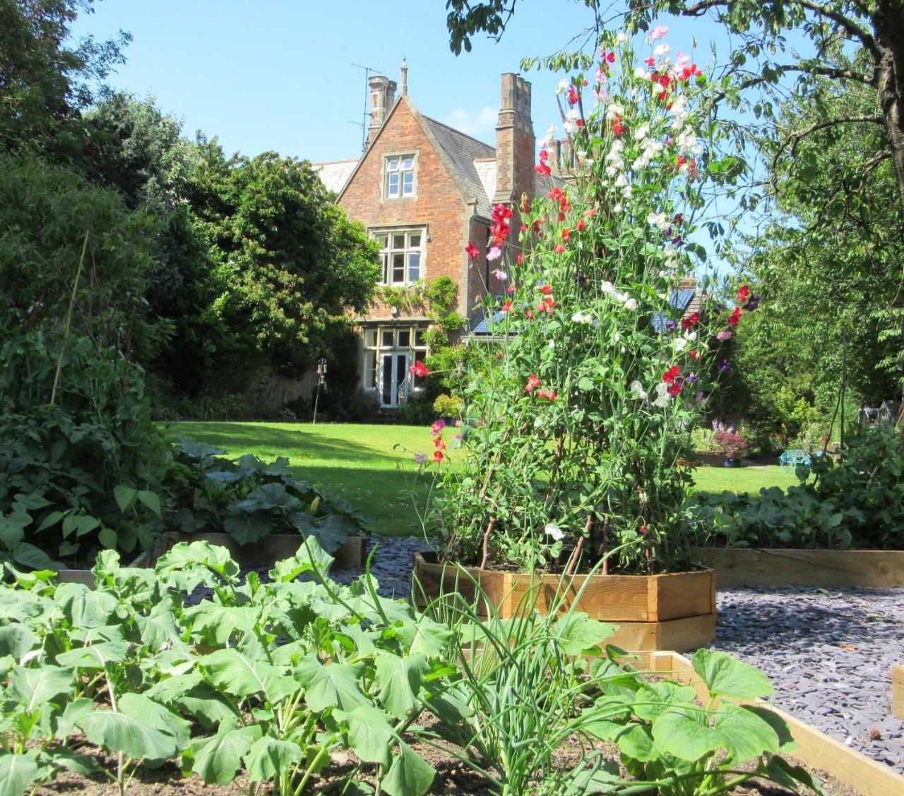 بارنستابل The Old Vicarage B & B المظهر الخارجي الصورة